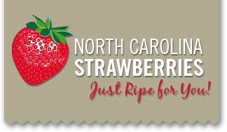 North Carolina Strawberries