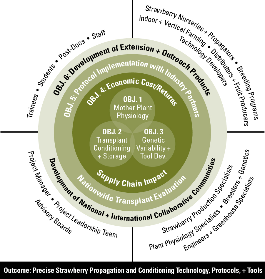 Project Structure – STRAWBERRY PIP-CAP SCRI