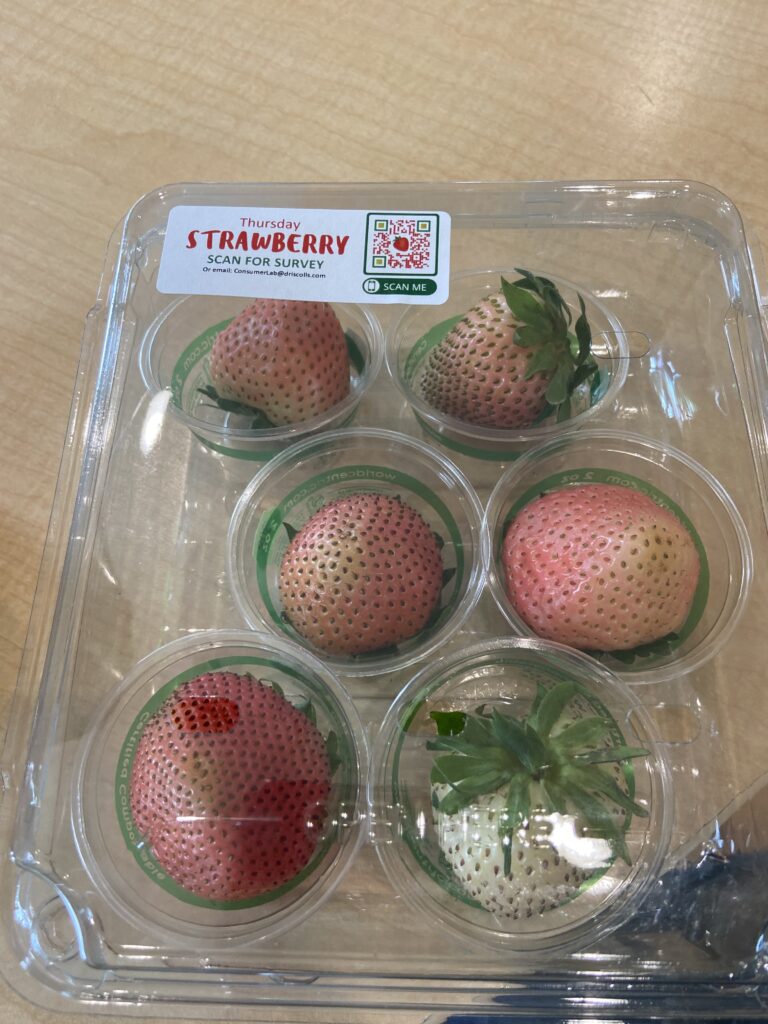 Six pink and white strawberries in a Drsicoll's container