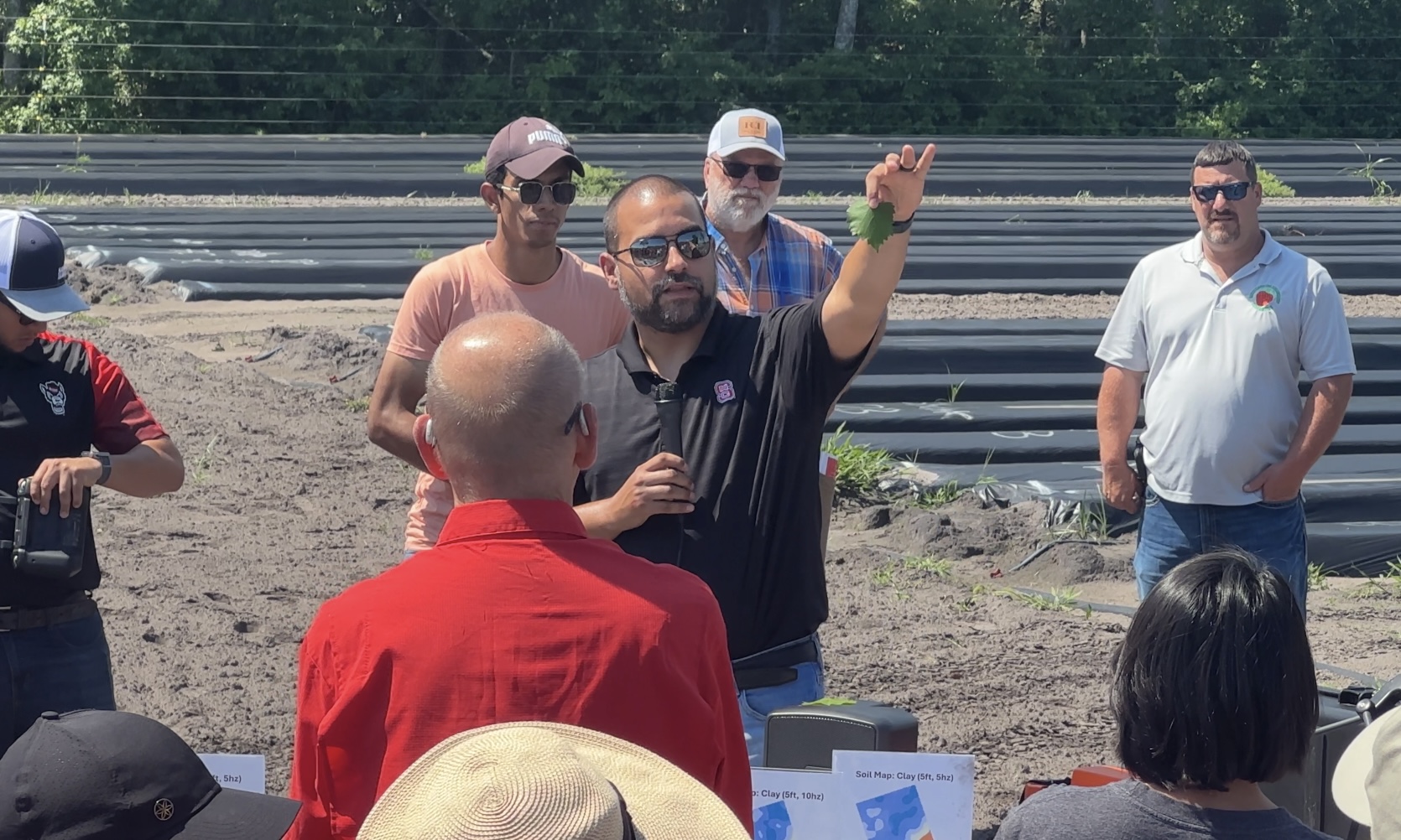 2025 Strawberry Field Day lecture discussions