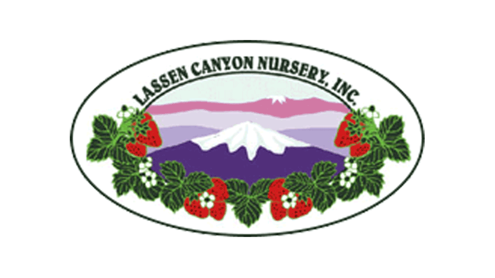 Lassen Canyon Nursery